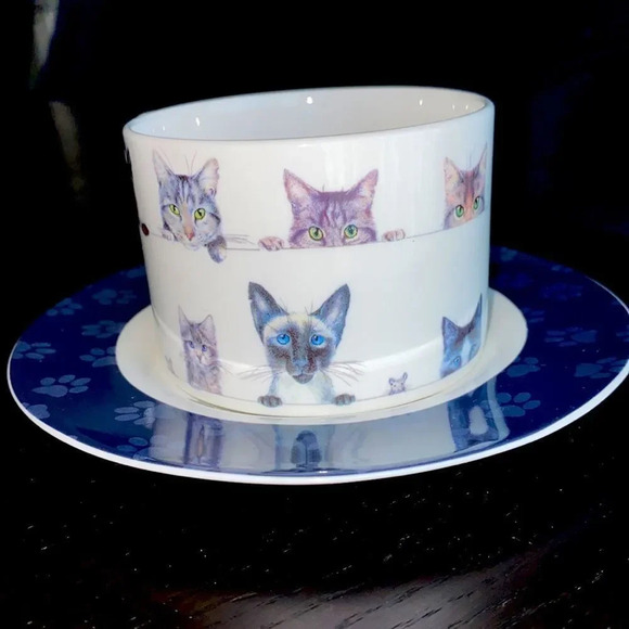 Cat lovers👆Ashdene Peeping Felines cup & saucer - Picture 2 of 9